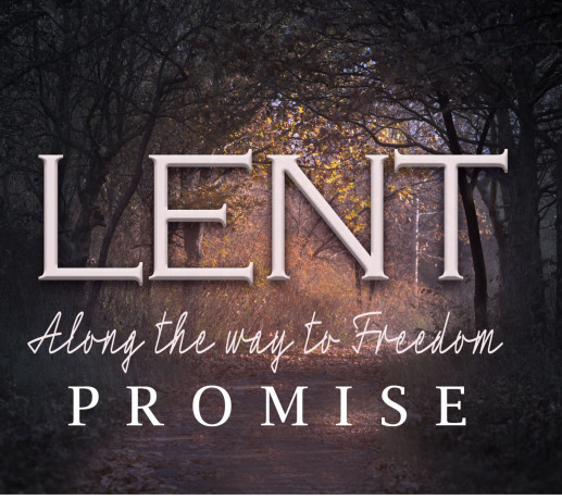 Along the Way to Freedom – Promise