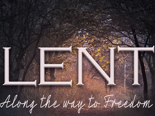 Along the Way to Freedom – Persistence